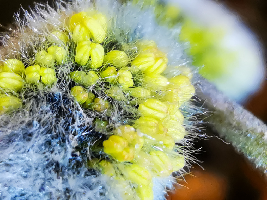 PSX_20230226_232110 | mtkfoto_ - Realisiert mit Pictrs.com