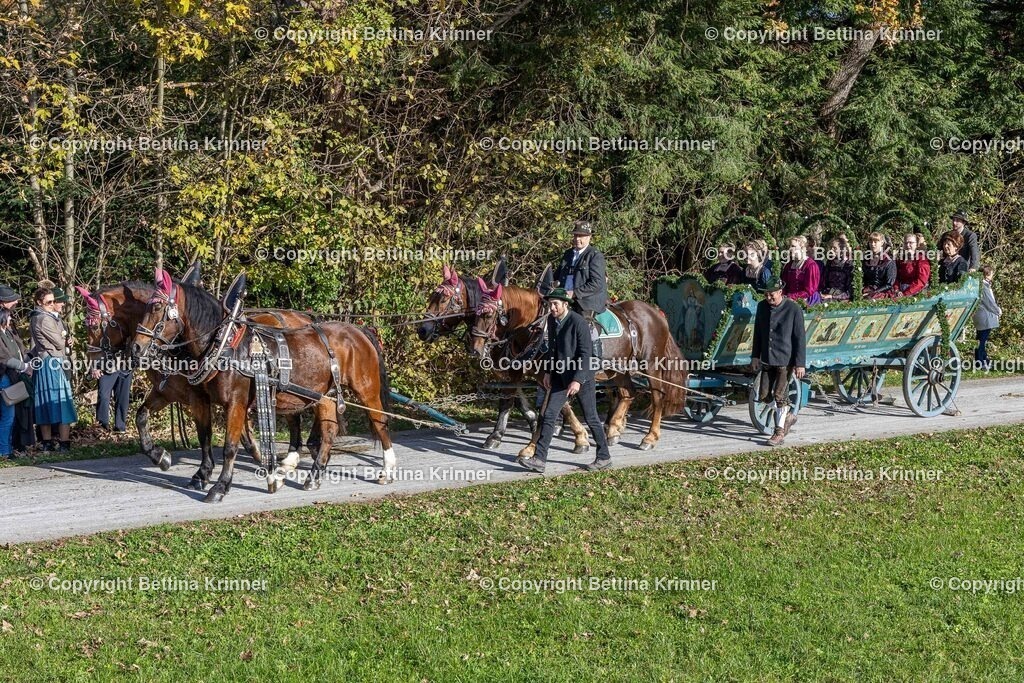 LBT24-937 | foto-bettina-krinner - Realisiert mit Pictrs.com