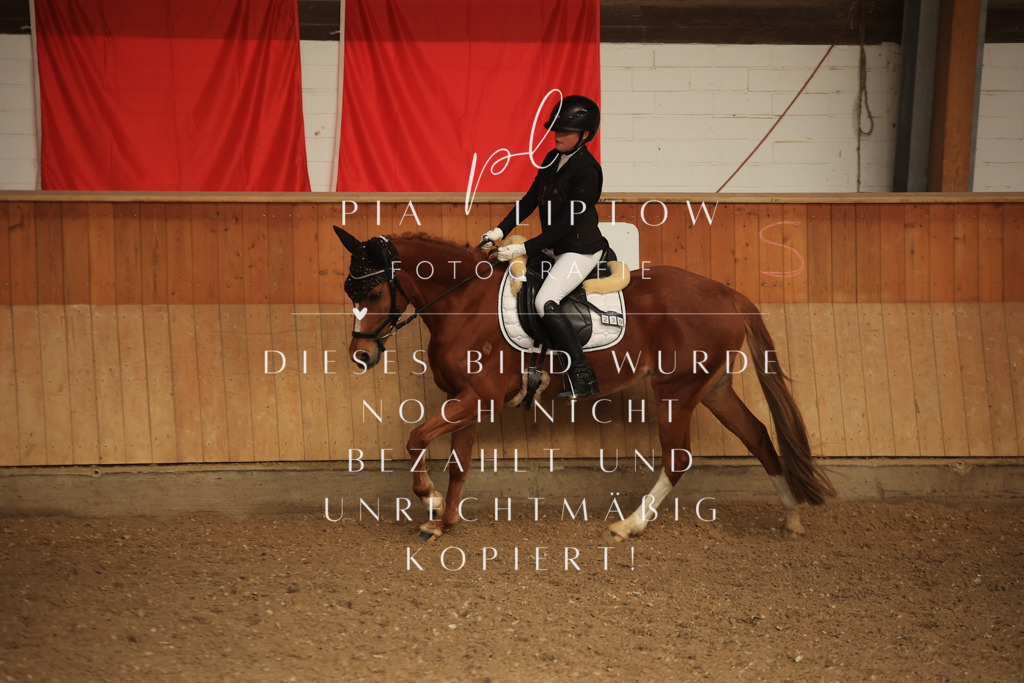 IMGT5531 | pl-fotografie