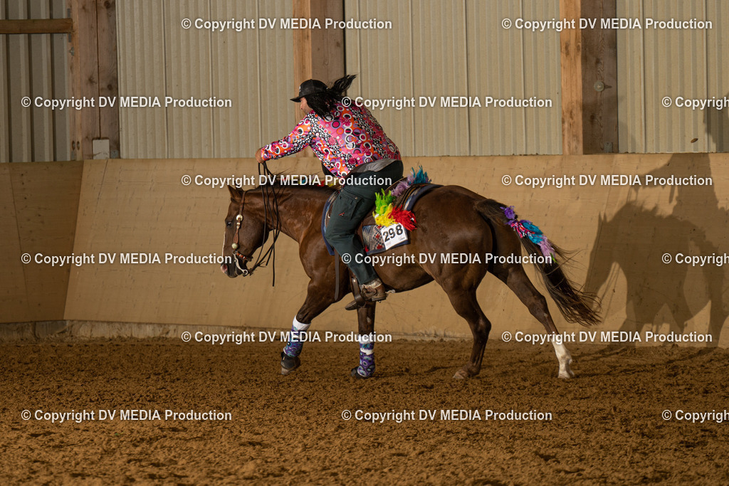 LAU01217 | dv-media-shop - Realisiert mit Pictrs.com