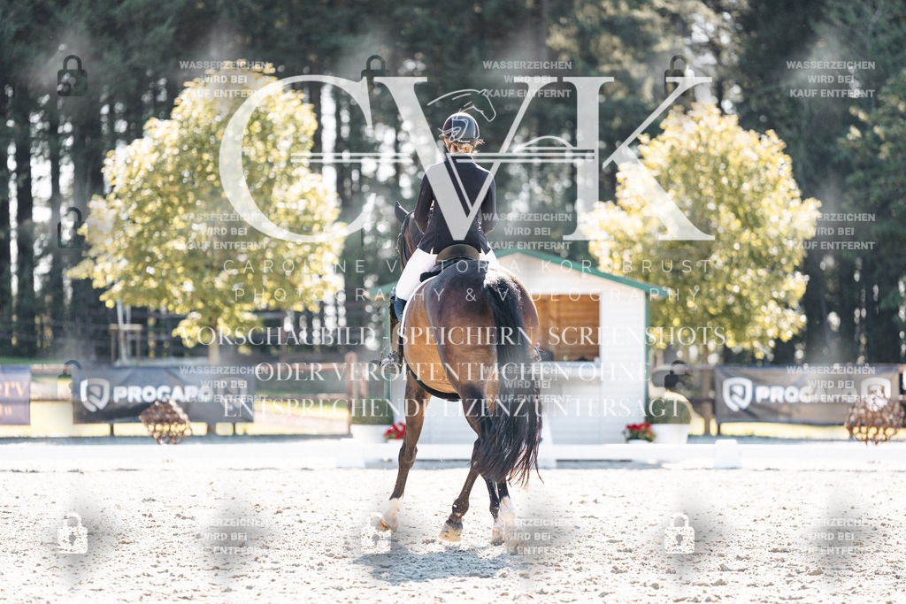 CK905937 | Turnierfotografie Pferdefotografie Trier Rheinland-Pfalz Pferdesport Reitsport Tierfotografie Sportfotografie Pferdevideo Pferdevideografie Equestrianvideography equestrianphotography  - Realisiert mit Pictrs.com