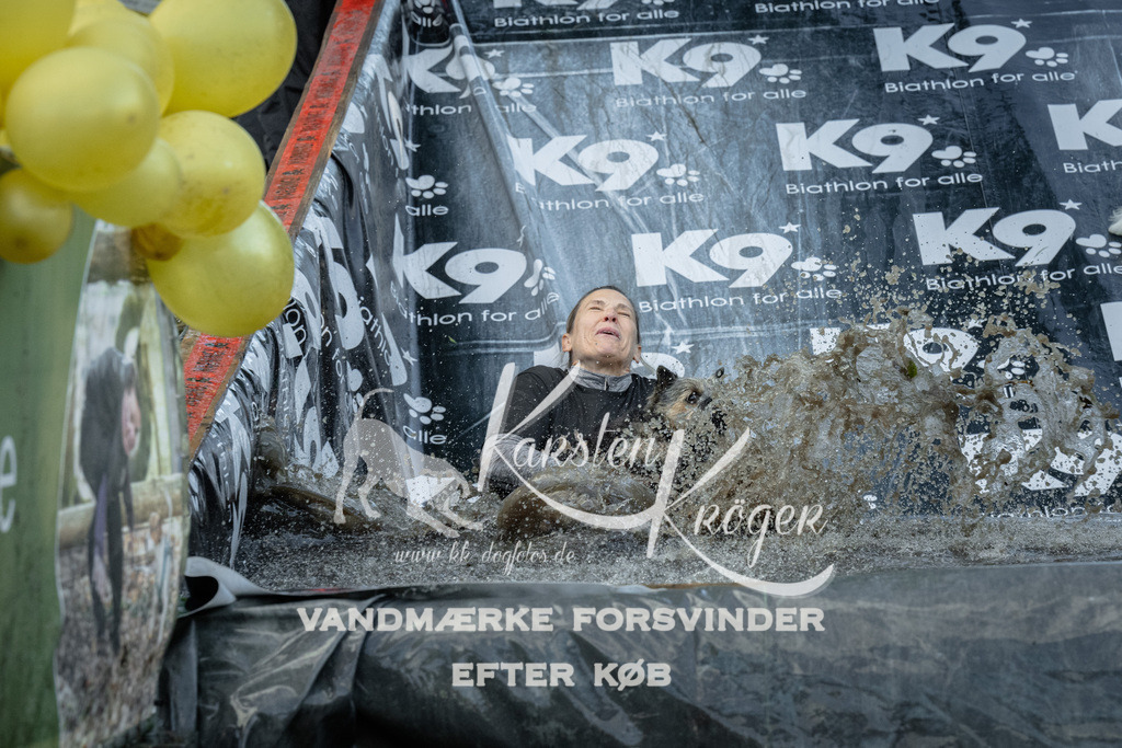 1600_ZZ91750 | kk-dogfotos
