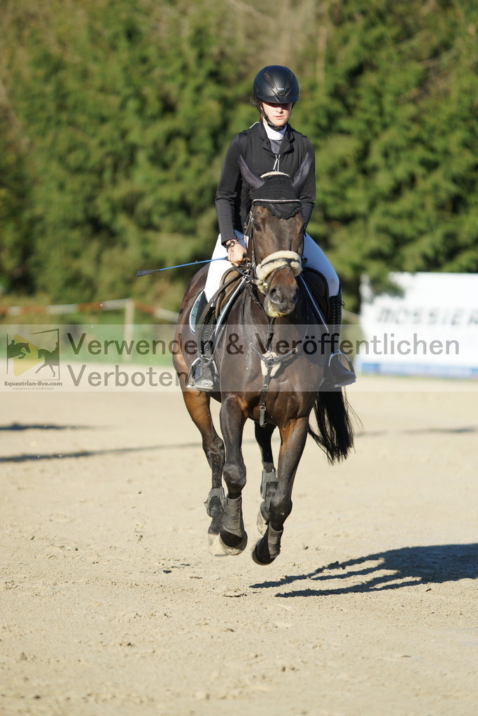 DSC08116 | equestrian-live-com