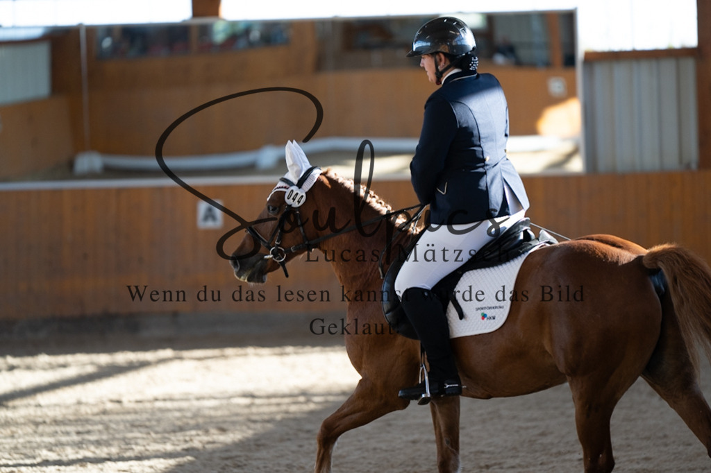 A7V01745 | Turnier/Reitfotograf