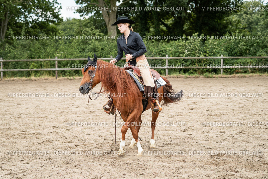 DSC02610 | Pferdegrafie