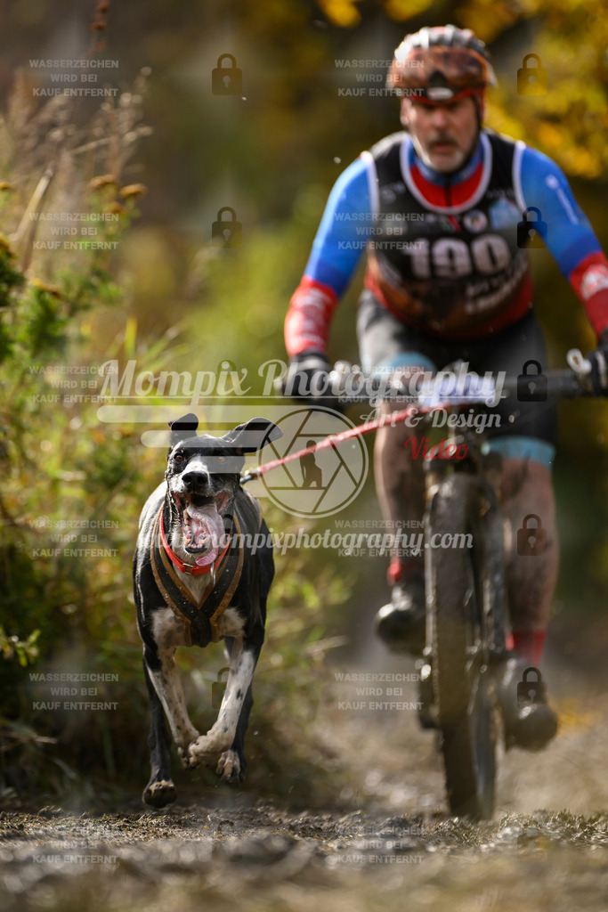 MompixPhotography_ICF_WC_2024_SA_Bike_-303 | PayLife