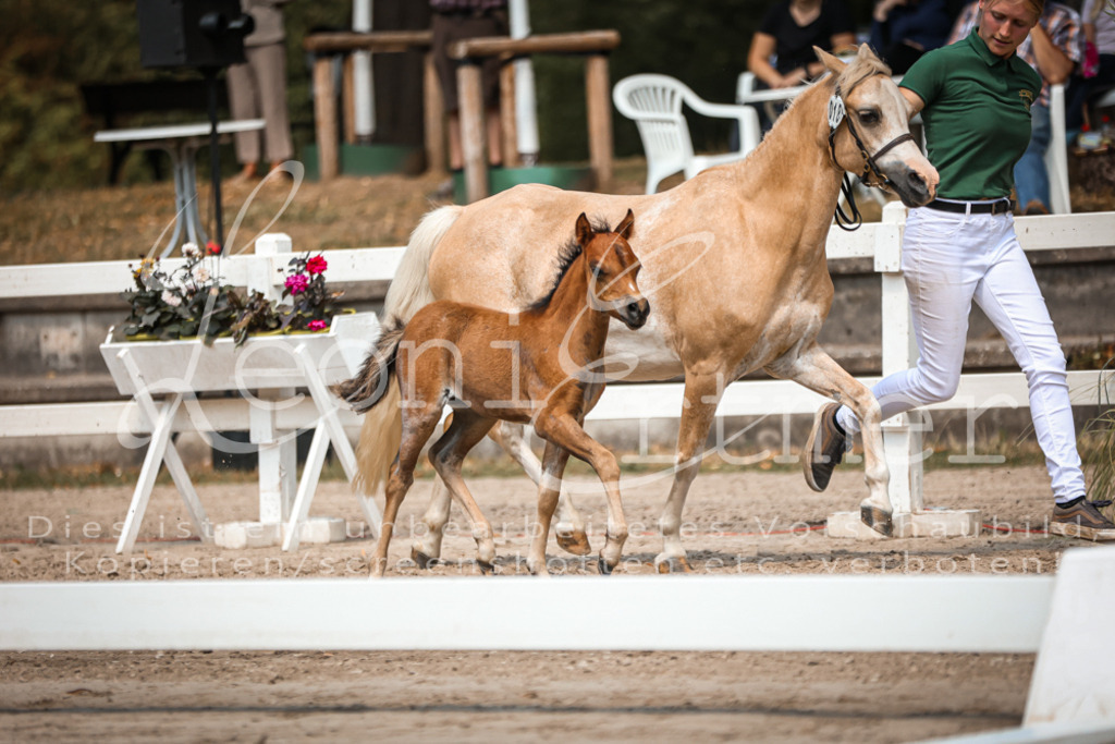 04.DoWP00058 | Leoni Ertmer Photography - Realisiert mit Pictrs.com