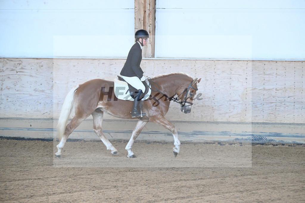 Kat-Nr. 1 Andiamore PBS v. Amore Mio_Schauermann_43250324 | hf-fotografie - Realisiert mit Pictrs.com