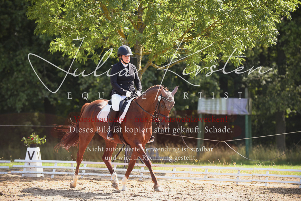 DSC_0513 | Pferde- und Turnierfotografie in Westsachsen. Pferdeportraits, Auftragszeichnungen und intuitive Kunst.
