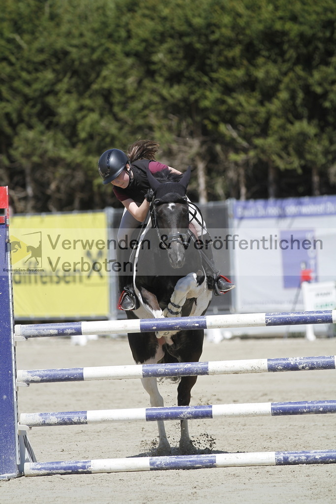 _MG_6528 | equestrian-live-com