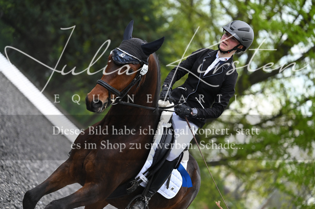 20230512_JK-Röhrsdorf-01-145 | Pferde- und Turnierfotografie in Westsachsen. Pferdeportraits, Auftragszeichnungen und intuitive Kunst.
