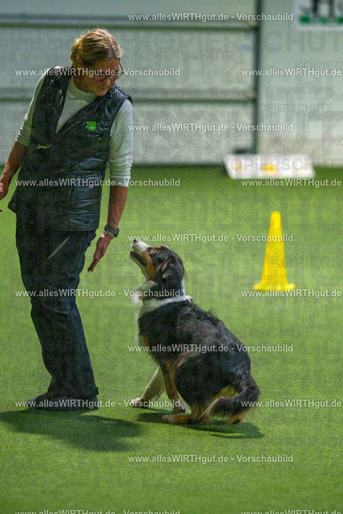 7R507652 | Professionelle Tierfotografie in Mönchengladbach von Daniel Wirth (allesWIRTHgut). Liebevolle & natürliche Bilder von Hunden & Katzen für unvergessliche Erinnerungen.