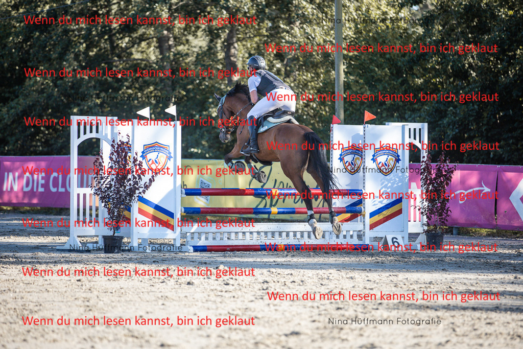 BK1A7769 | Turnierbilder Turnierfotos Nina Hüffmann Turnierfotografie Pferdefotografie Tierzeichnung Haustierzeichnung Pferdezeichnung Hundezeichnung Videograf  - Realisiert mit Pictrs.com