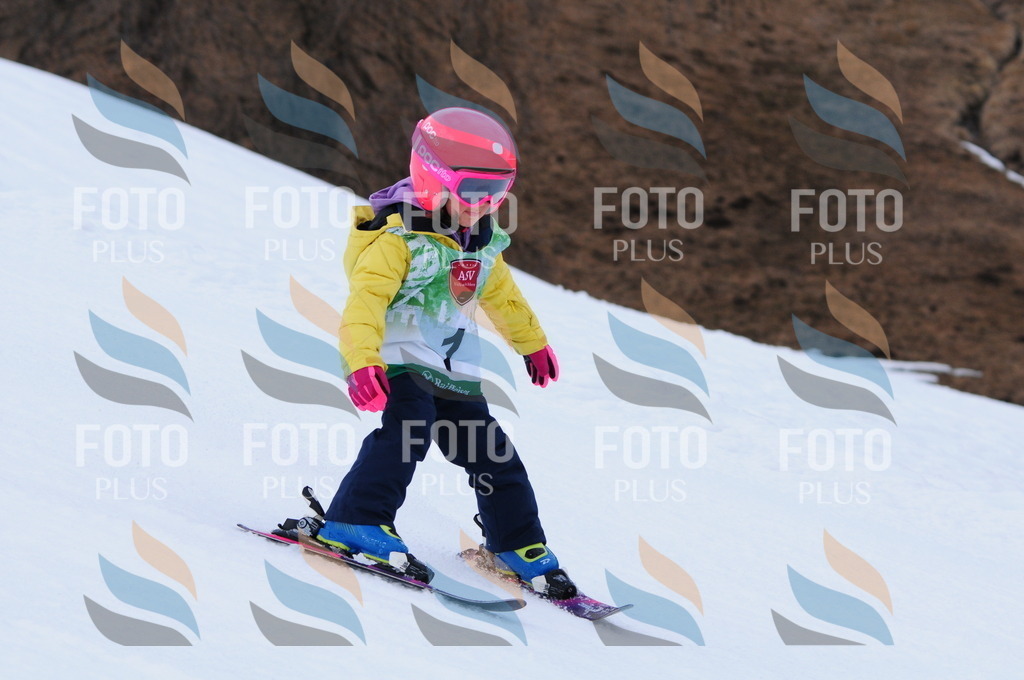 A3308 | holidayphoto