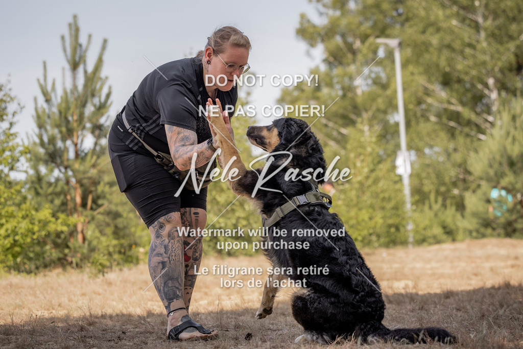 nelerasche_soDD2_252 | nelerasche