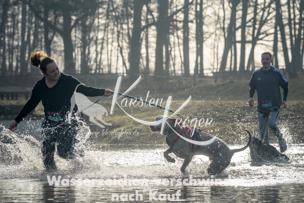 0900_ZZ99535 | kk-dogfotos
