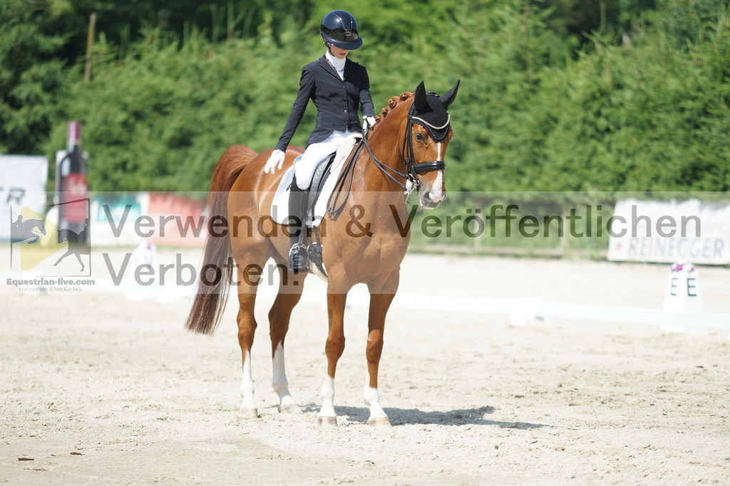DSC04715 | equestrian-live-com