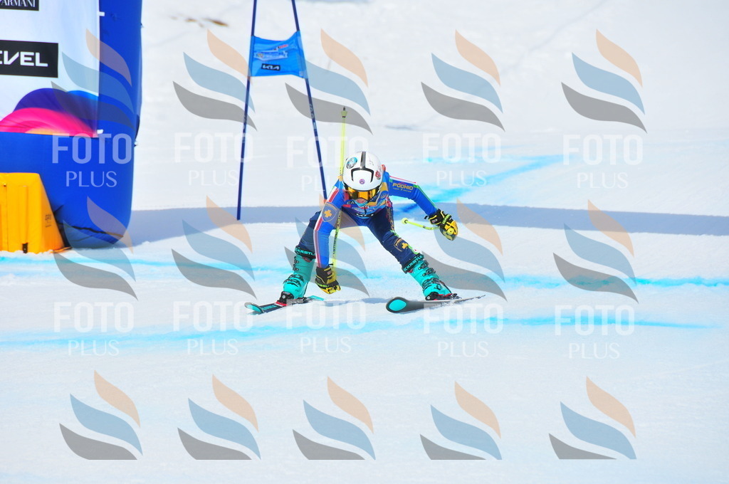 DSC_6197 | holidayphoto