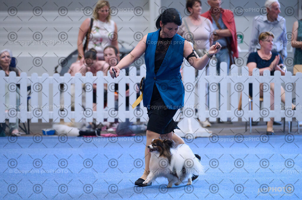 202406_ÖKV-IHA-Tulln24_DSC_3669 | proPHOTO - Realisiert mit Pictrs.com