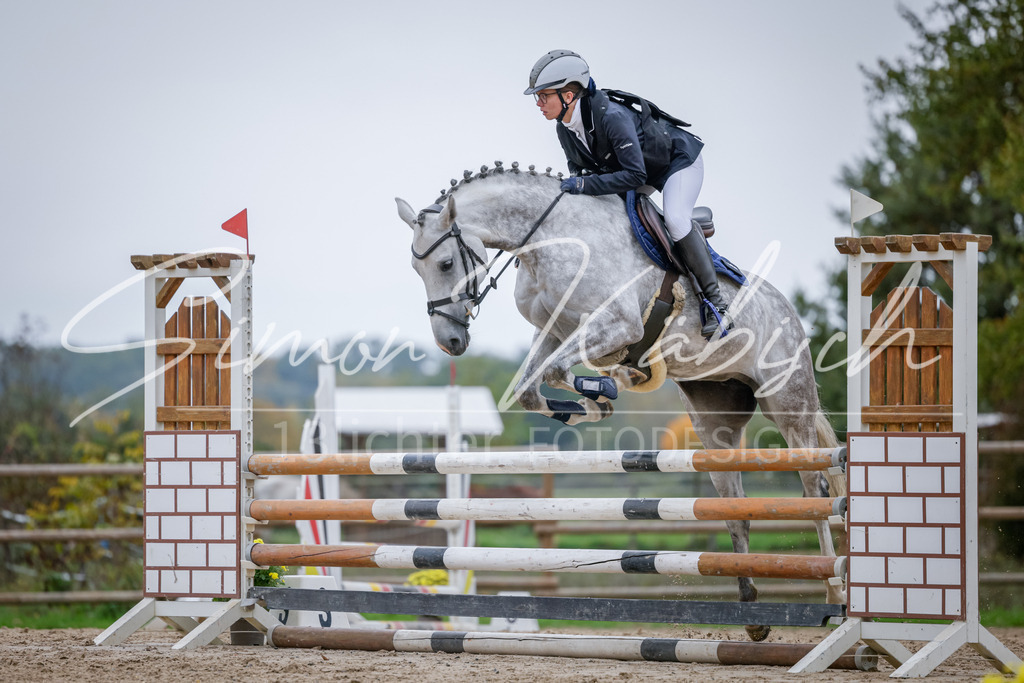 20251012-_3LI4036 | Tierfotografie Pferde, Hunde, Katzen, Haustiere.
Turnierfotografie Reitturniere, Reiten, Springreiten, Dressur in Hanau, dem Main-Kinzig-Kreis und dem Rhein-Main- Gebiet um Frankfurt