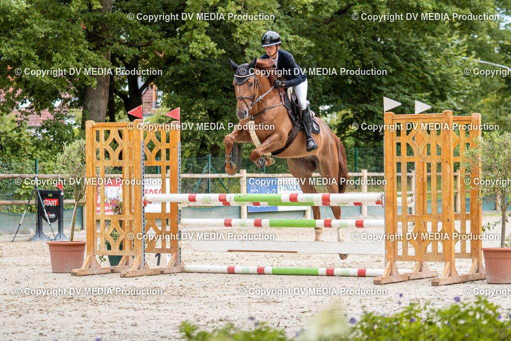 Hessische Tag 1-044 | dv-media-shop - Realisiert mit Pictrs.com