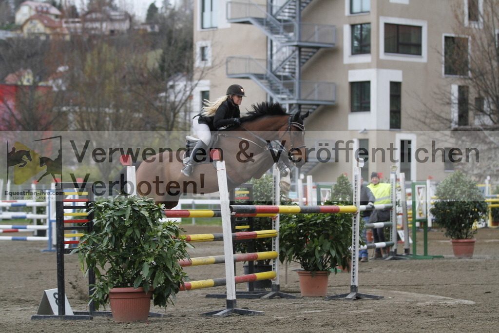 _MG_6512 | equestrian-live-com