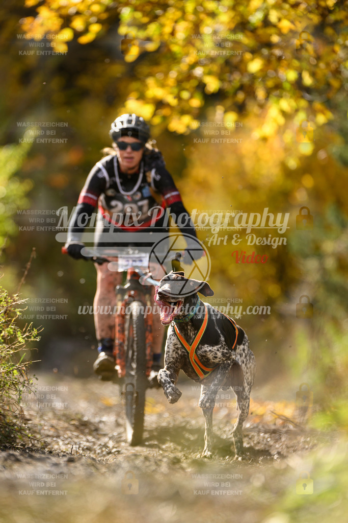 MompixPhotography_ICF_WC_2024_SA_Bike_-333 | PayLife