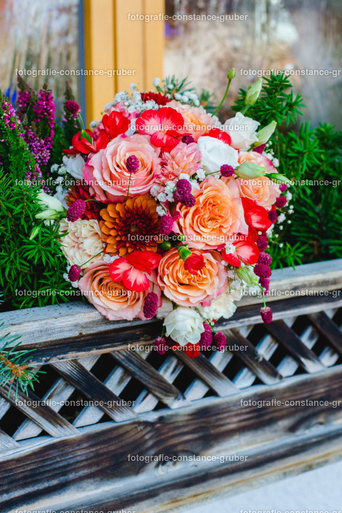 1020 | Fotografie Constance Gruber - Realisiert mit Pictrs.com