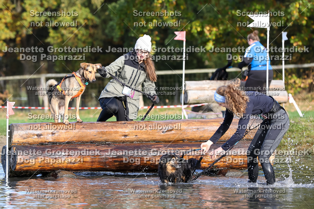 Dog Paparazzi - Strongdog 10-25-8414 | Dog Paparazzi Jeanette Grottendiek Fotografie & Videografie - Realisiert mit Pictrs.com