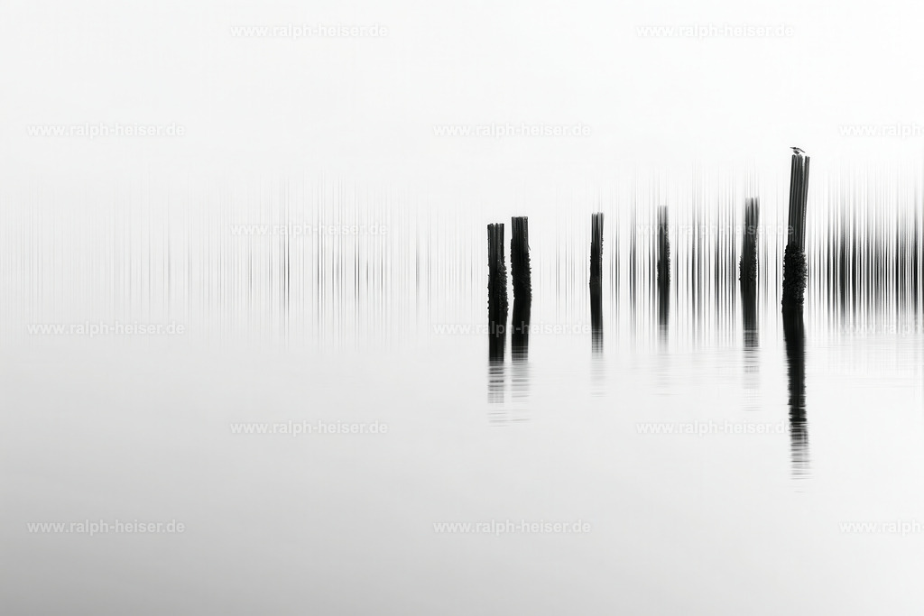 KI00340 | Mit moderner KI‑generiertes schwarz-weiß Artwork, sorgfältig manuell für den Druck optimiert.