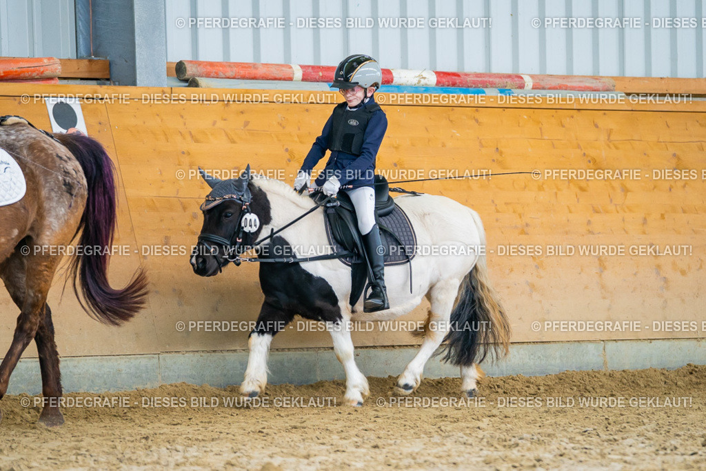 DSC01388 | Pferdegrafie