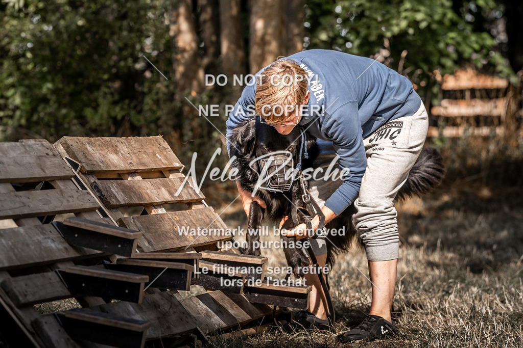 nelerasche_slaw24So_312 | nelerasche