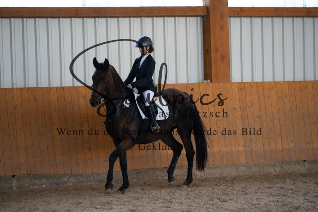 A7V02080 | Pferdefotograf