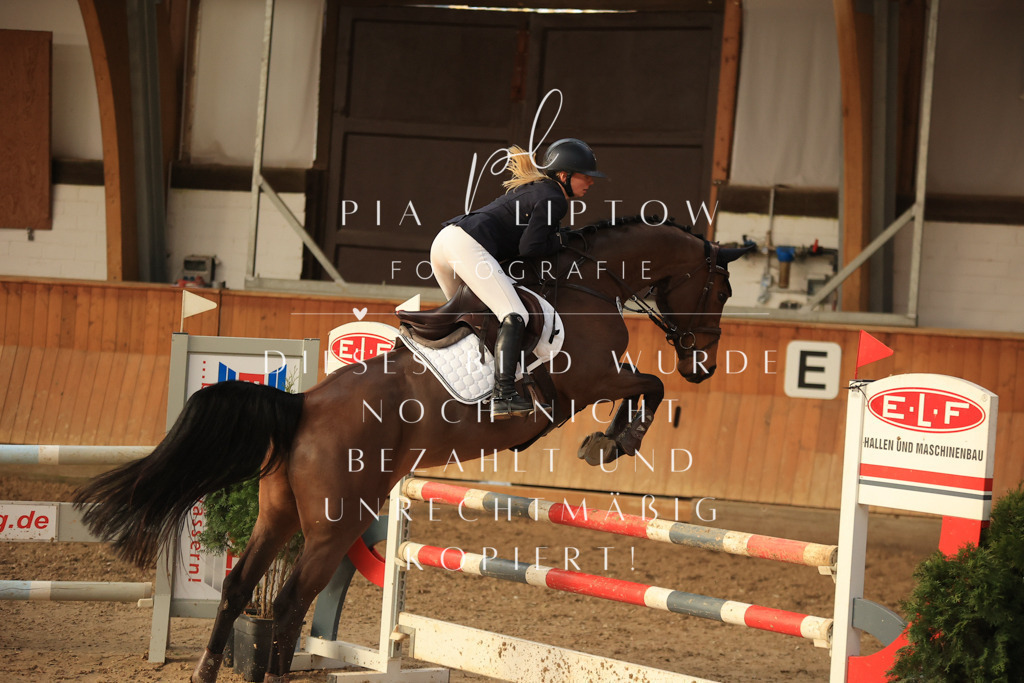 IMGT6517 | pl-fotografie