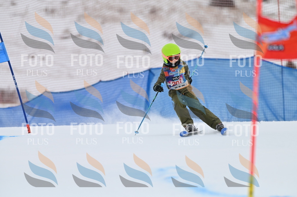 BGV_2214 | holidayphoto