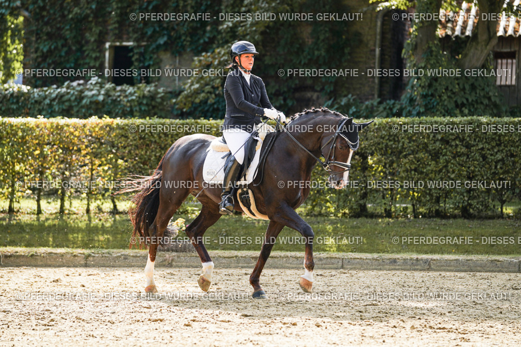 DSC07761 | Pferdegrafie