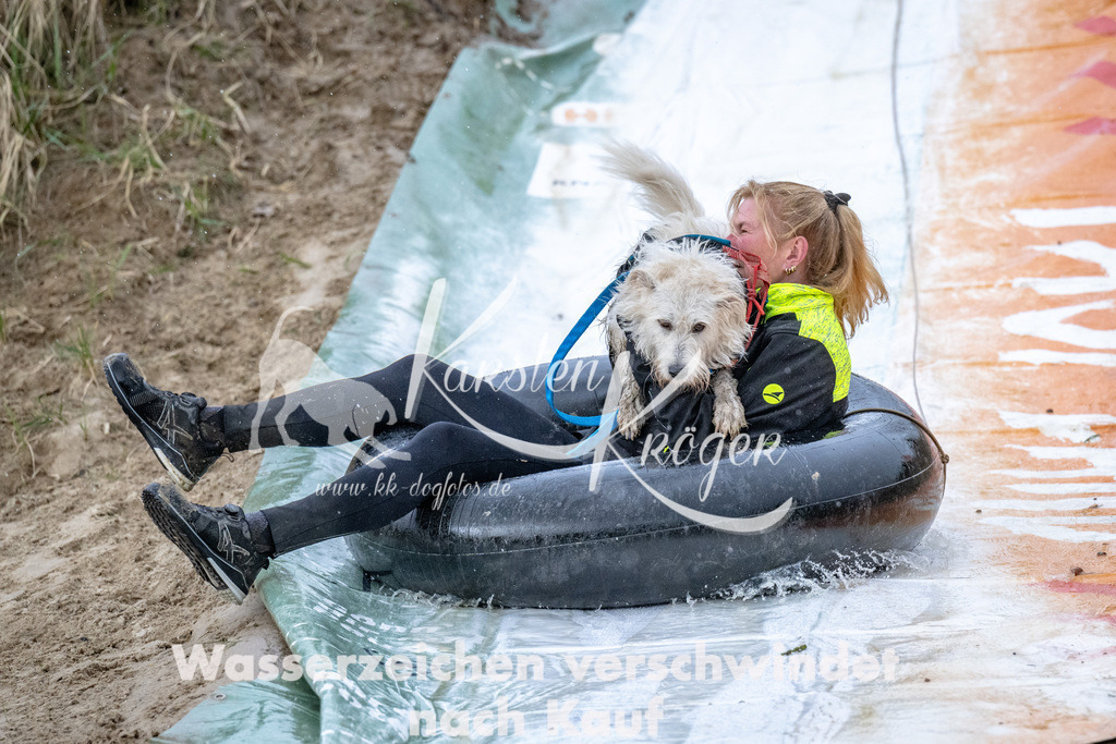 1537_ZZ90277 | kk-dogfotos