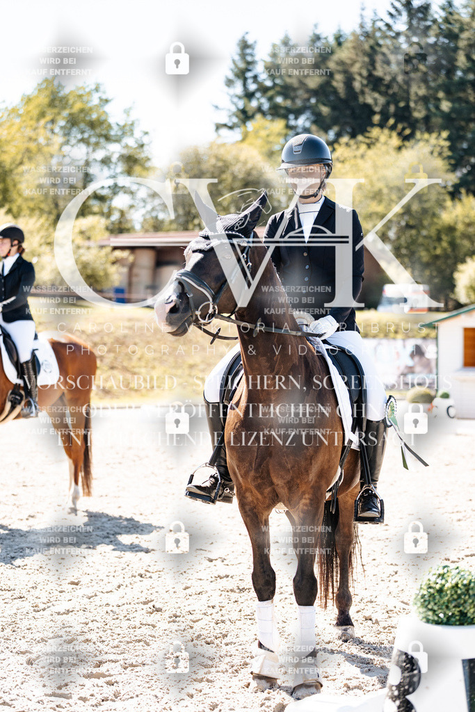 CK909959 | Turnierfotografie Pferdefotografie Trier Rheinland-Pfalz Pferdesport Reitsport Tierfotografie Sportfotografie Pferdevideo Pferdevideografie Equestrianvideography equestrianphotography  - Realisiert mit Pictrs.com