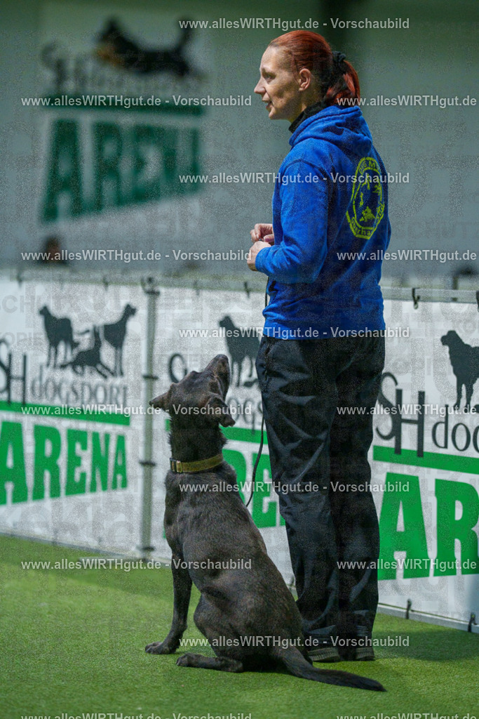 7R506991 | Professionelle Tierfotografie in Mönchengladbach von Daniel Wirth (allesWIRTHgut). Liebevolle & natürliche Bilder von Hunden & Katzen für unvergessliche Erinnerungen.