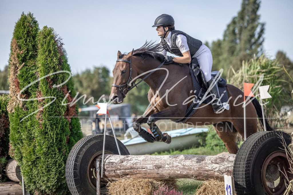 20250907-_3LI9556 | Tierfotografie Pferde, Hunde, Katzen, Haustiere.
Turnierfotografie Reitturniere, Reiten, Springreiten, Dressur in Hanau, dem Main-Kinzig-Kreis und dem Rhein-Main- Gebiet um Frankfurt
