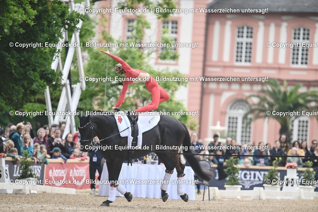 20240519_Voltige_0072 | Foto: Thomas Hartig