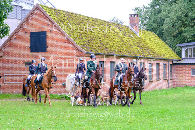 Jagd Perdoel 26 Fuji-9651_MarinaHewig | Fotografie, FotoArt, PferdesportArt, Pferdesportfotografie, Landschaftsfotografie, Reisefotografie, Reise, Pferde - Realisiert mit Pictrs.com