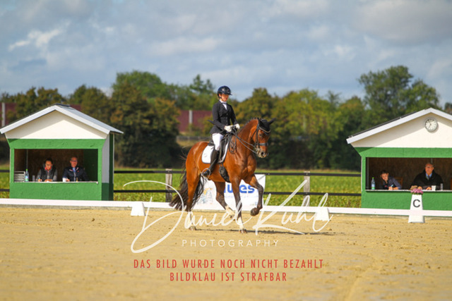 DKP43991 | Turniersportfotografie; Pferdefotografie; Dressurfotografie