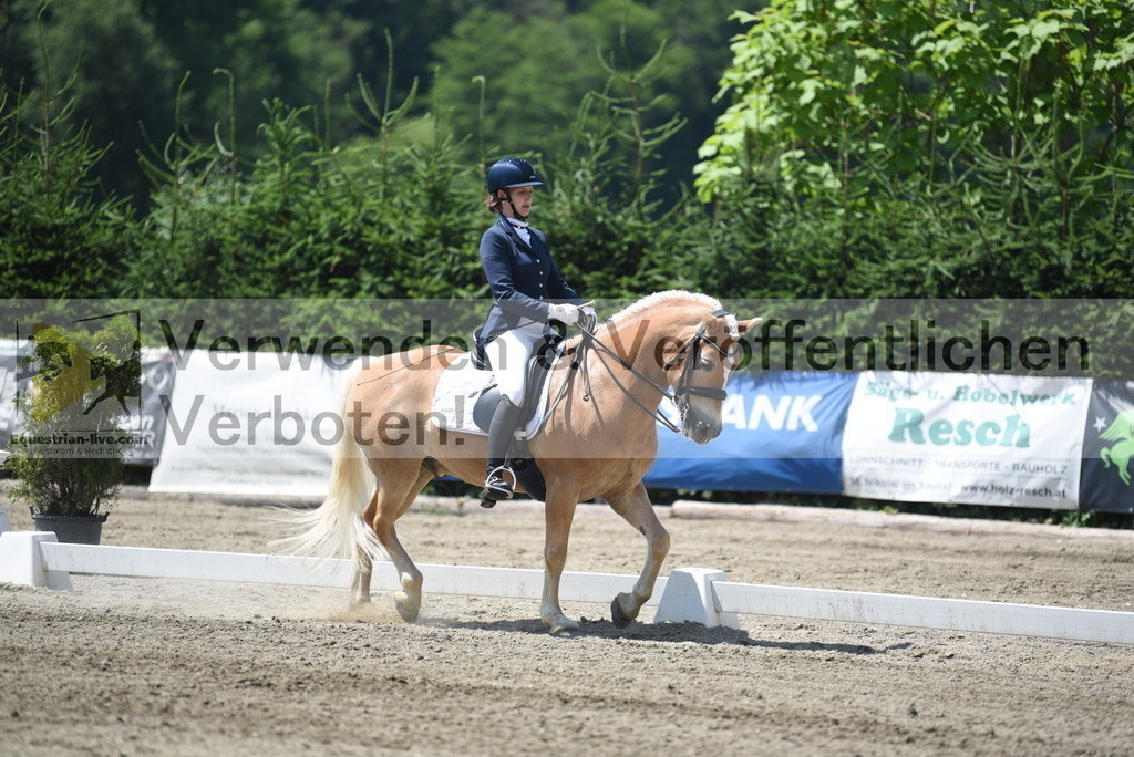 DSC_1013 | equestrian-live-com