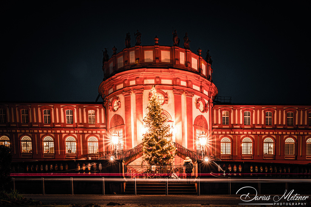 _DSC6793 | Fotografien, Fotos und Bilder aus Mainz, Frankfurt, Wiesbaden und anderen Orten auf der Welt - Fotografiert von Darius Metzner