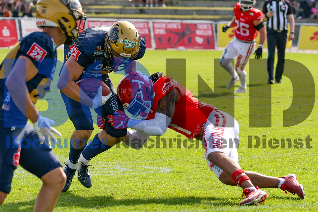 GFL: Potsdam Royals vs. Dresden Monarchs{date} -  | {headline}(Foto: Thomas Sobotzki / BOND) - Realisiert mit Pictrs.com