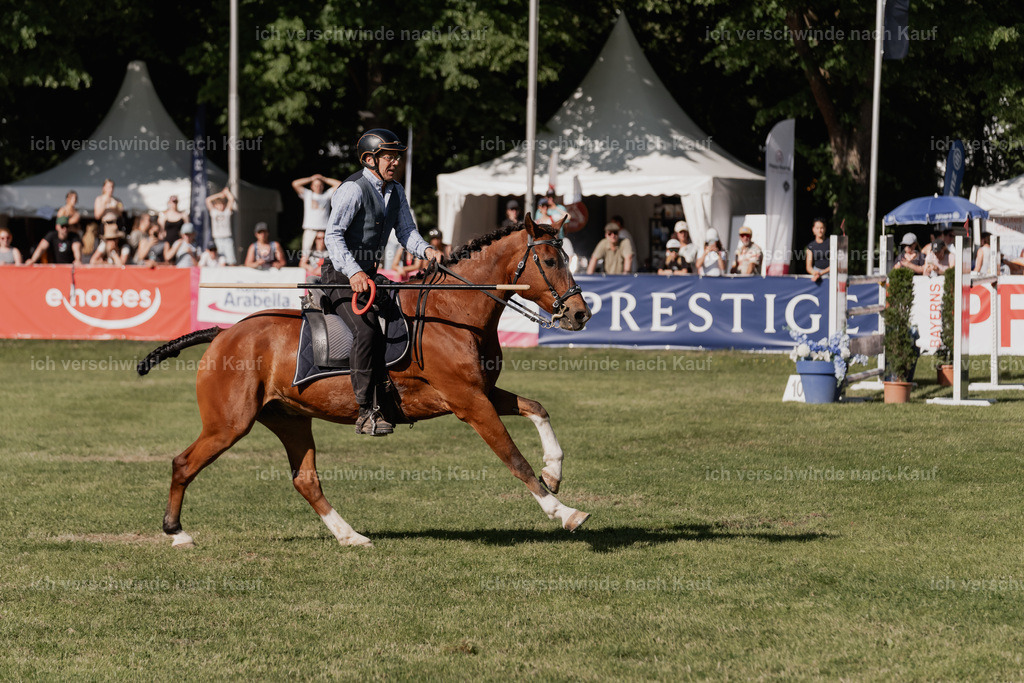 SIN01200 | Pferd International München 2025