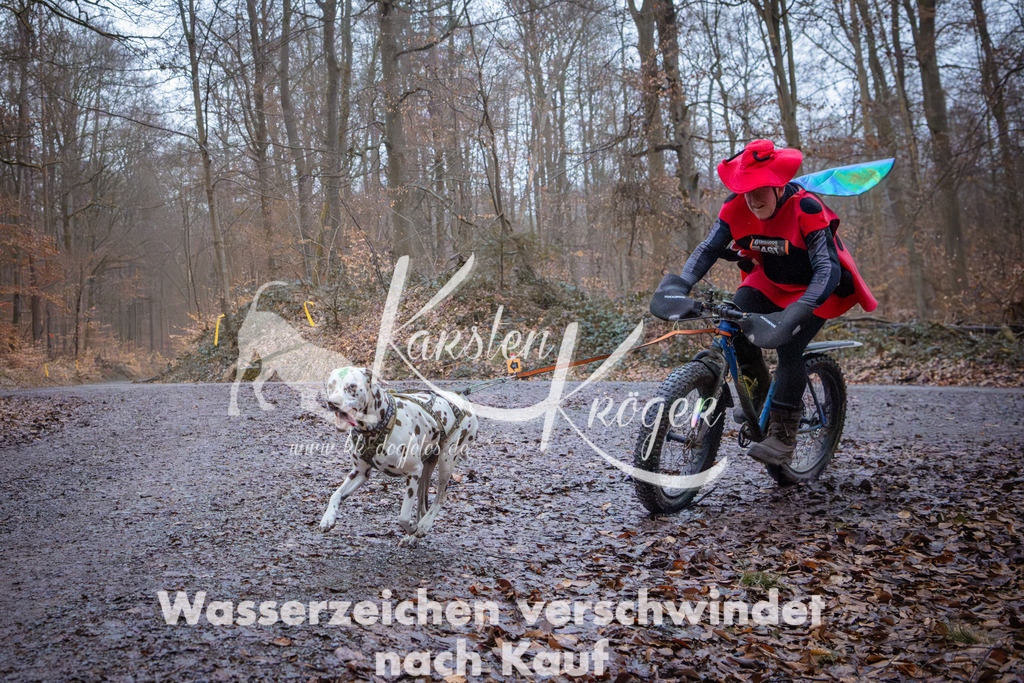 0826_ZZ94557 | kk-dogfotos