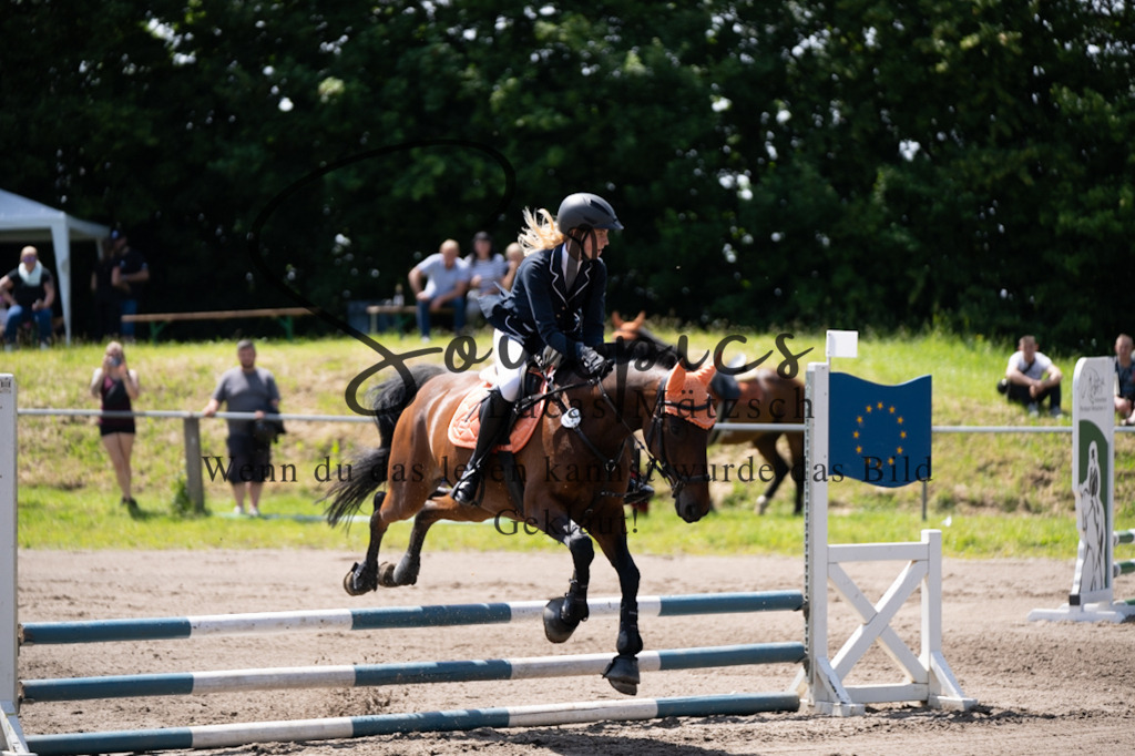 A7V04454 | Pferdefotograf