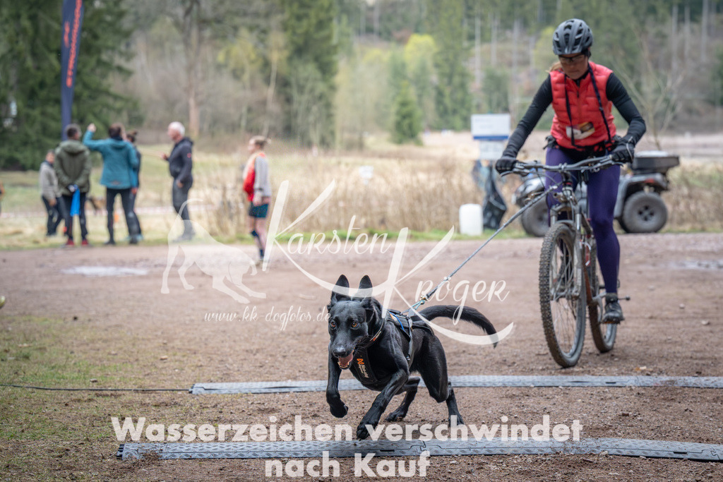0936_ZZ91660 | kk-dogfotos